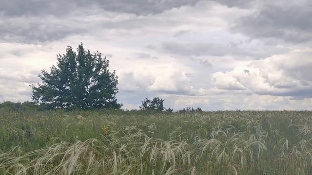 29 июня народный праздник Тихон Тихий. Народные приметы , ритуалы, обряды и обычаи.Что нельзя делат