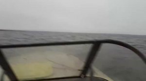 Амур Ямаха 100