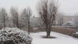 Neve 28 gennaio 2013 - Peschiera Borromeo (Mi).wmv