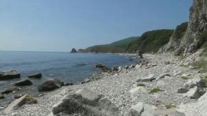Приморье  Японское море  Возле залива Владимир  Мыс 4 х скал  2018 год