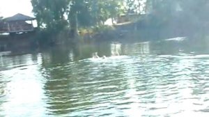 Озеро в Кудряшах-3