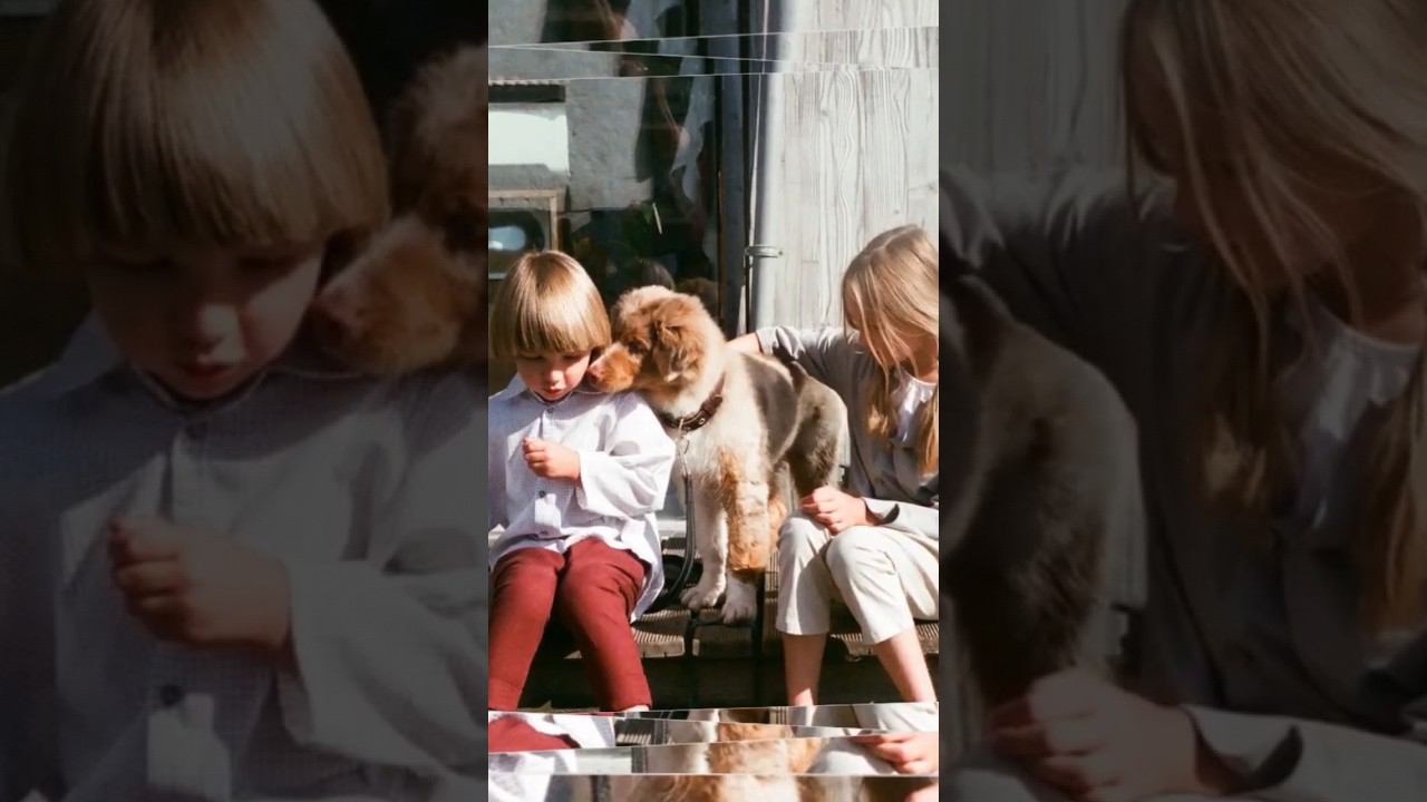 Почему дети человека растут дольше других животных смотреть онлайн