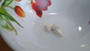 Эксперимент мел уксус