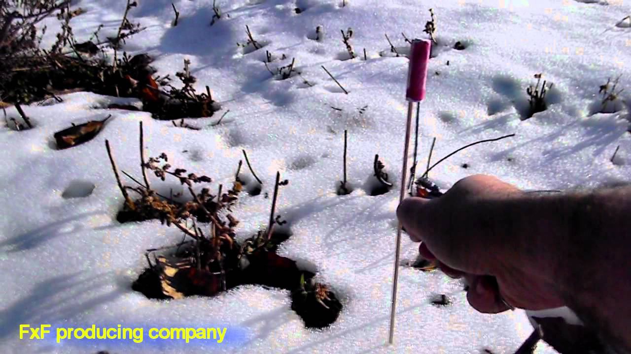 Свистящая ракета. Whistling rocket