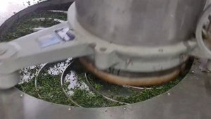 Чайная культура Китая. Плантации и производство чая