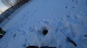 Рыбалка зимой на окуня в мороз за  - 20. Кировская область