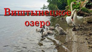 Виштынецкое озеро