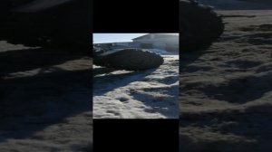 самодельный каракат