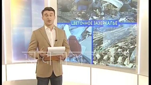 Изнанка красоты - цветочный магазин устроил свалку в парковой зоне