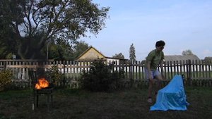 Дугласовы пихты