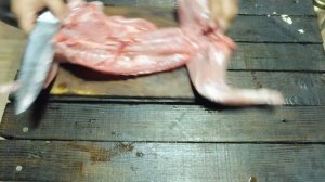 КРОЛИК В УГЛЯХ