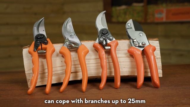 STIHL Secateurs Range | Anvil Secateurs & Bypass Secateurs | STIHL GB смотреть онлайн