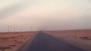 Тому, кто освобождал Пальмиру!