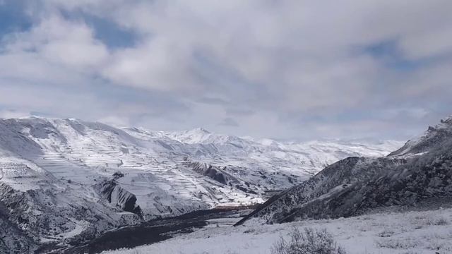 Штул 2021 смотреть онлайн