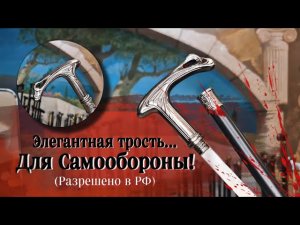 Универсальная трость с клинком | Трость "Констанция Silver"