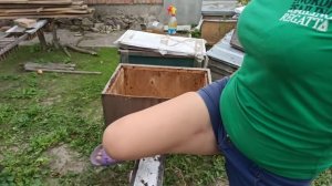 Младший специалист метит в матководы 2022) Место под пасеку. Нуклеусный парк нужно восстановить