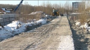 Более 1200 новых деревьев высажено в Тюмени взамен срубленных