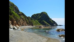 ПРИМОРСКИЙ КРАЙ ОСТРОВ ПУТЯТИН БУХТА МРАМОРНАЯ НЕРПЫ