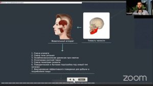 Нейротипология. Выжимка - Второй день