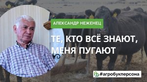 Глава "Агрофирмы Прогресс" Александр Неженец про агробизнес, кризис и мясное скотоводство