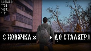 Как Легко Пройти Станцию "Лесная" Начало Новичка C Новичка До Сталкера #1 Stalker Online/Stay Out
