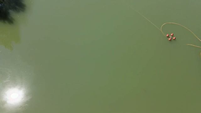 La Pieve di Tavarnelle val di Pesa смотреть онлайн