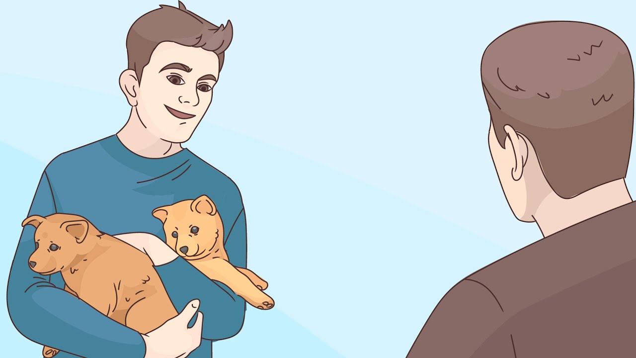 КАК ВЫБРАТЬ ПРОФЕССИЮ?