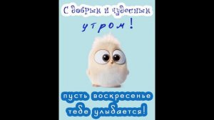 Отличного воскресенья!