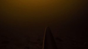 Подводная охота на толстолобика в реке Днепр в лежке