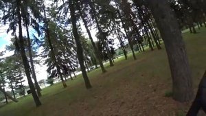 В ПАРКЕ НАЛЬЧИКА РЫЖИЙ БРОДЯГА СПАС ВЕЛОСИПЕДИСТА ОТ БЕЗДОМНЫХ СОБАК. ПАРЕНЬ ДОСТАЛ ШУМОВОЙ ПИСТОЛЕ