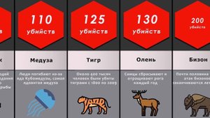 Сравнение! Самые опасные существа для человека