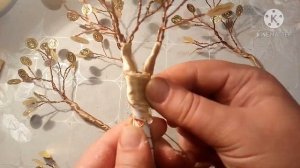 DIY/ Денежное дерево своими руками.Дерево/ Как сделать денежное дерево?