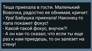 Вовочка Женился на Однокласснице! Первая Брачная Ночь! Сборник Свежих Анекдотов! Юмор!