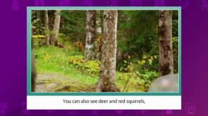 Английский язык. 8 класс. Nature reserves around the world /16.02.2021/