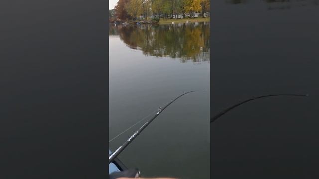 The BEST Bait to Catch Fish in the Fall Months! (Also Most Dangerous...)