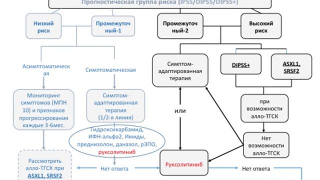 Соколова М.А. Первичный Миелофиброз.