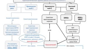 Соколова М.А. Первичный Миелофиброз.