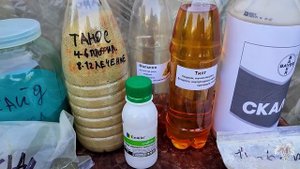 ОБРАБОТКА ВИНОГРАДА После Цветения – МЕДЬ ИЛИ РИДОМИЛ?!!!