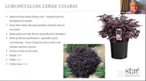 Chat with Green Aggies (04/15/2021) - Landscape Plants: Variety Improvements and New Offerings