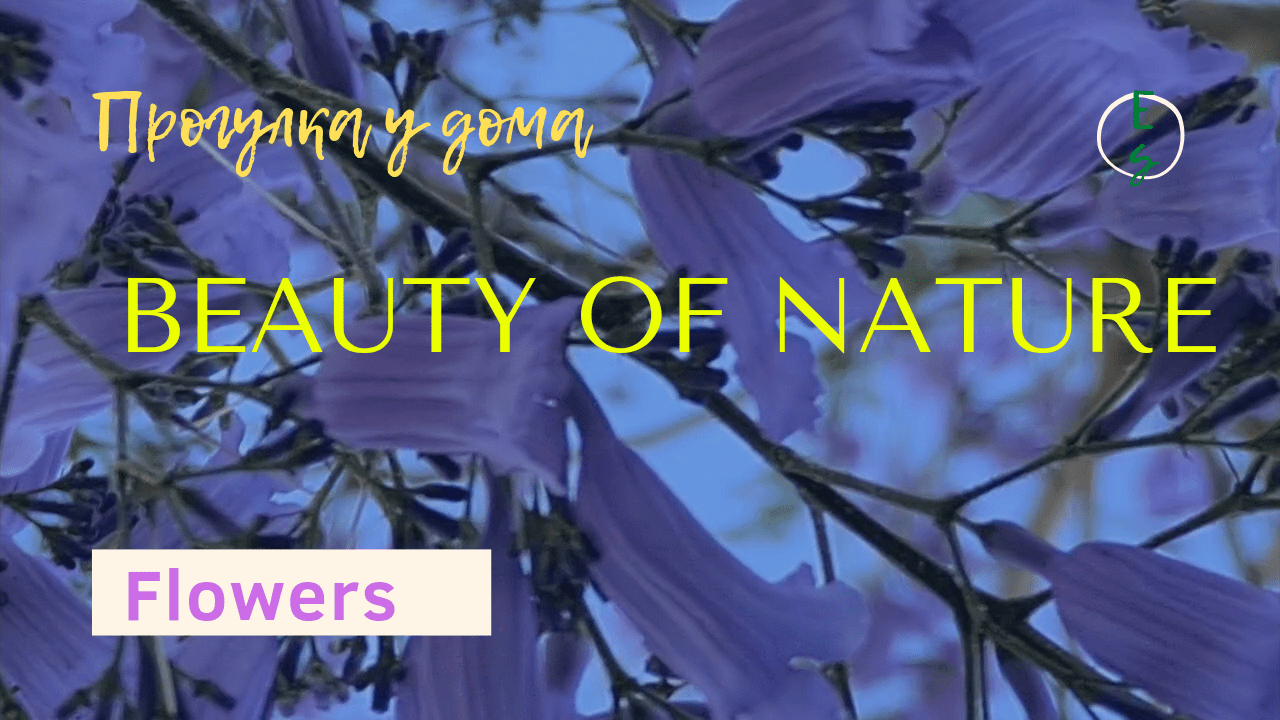 BEAUTY OF NATURE/Flowers/Природа/Цветы и не только.