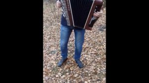 Исполнение мелодии на баяне из песни "Три желания"