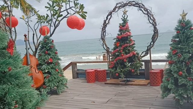 С наступающим Новым годом!!! 23 ноября, до католического Рождества месяц. Елочки и люди купаются. смотреть онлайн