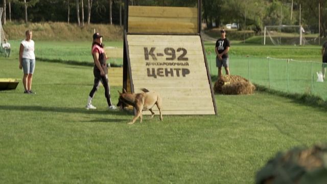 Крымский чемпионат по мондьорингу. Открытый вопрос 95
