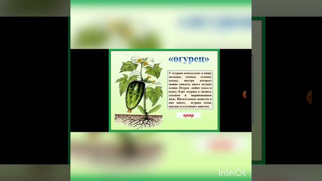 Овощи, которые растут над и под землёй, 2 класс, Русский язык, 29 апреля 2020 г. смотреть онлайн