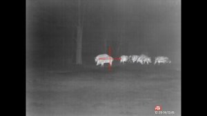 georgia pig hunting with ATN THOR 4 thermal scope(EERIE sound near the end)