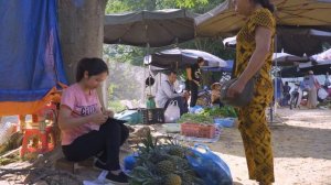 Harvest MANGO ROSA garden goes to the market sell | Hanna Daily Life