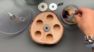 DIY parrot foraging wheel