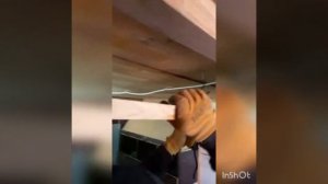 Курятник насест