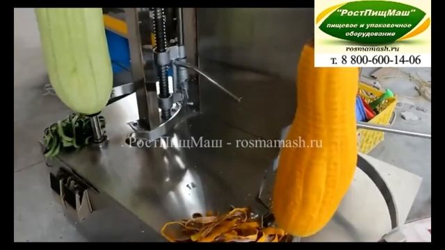 Обзор чистки тыквы на двух стойках  SL-TYW-150-2 от РостПищМаш