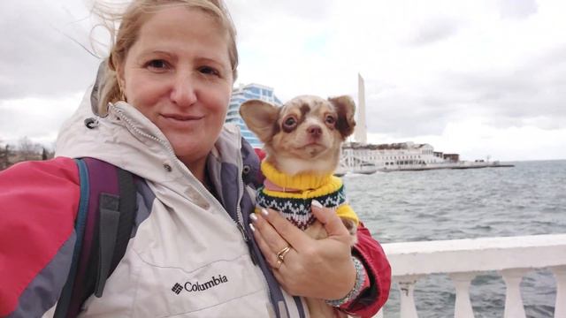 сильный ветер на набережной Севастополя, гуляем, ЯЛТА Ролексовна и я , питомник чихуахуа Кастропуло смотреть онлайн